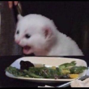 Meet your Posher, Izarra